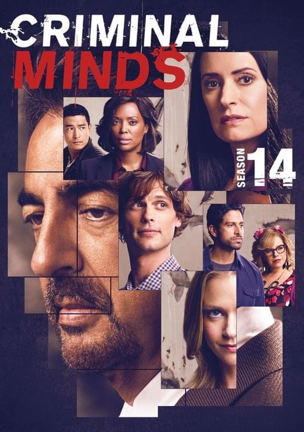 Mentes criminales - Temporada 14