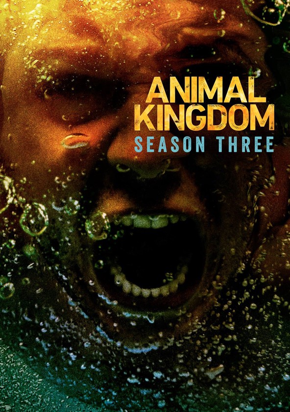 Animal Kingdom - Temporada 3