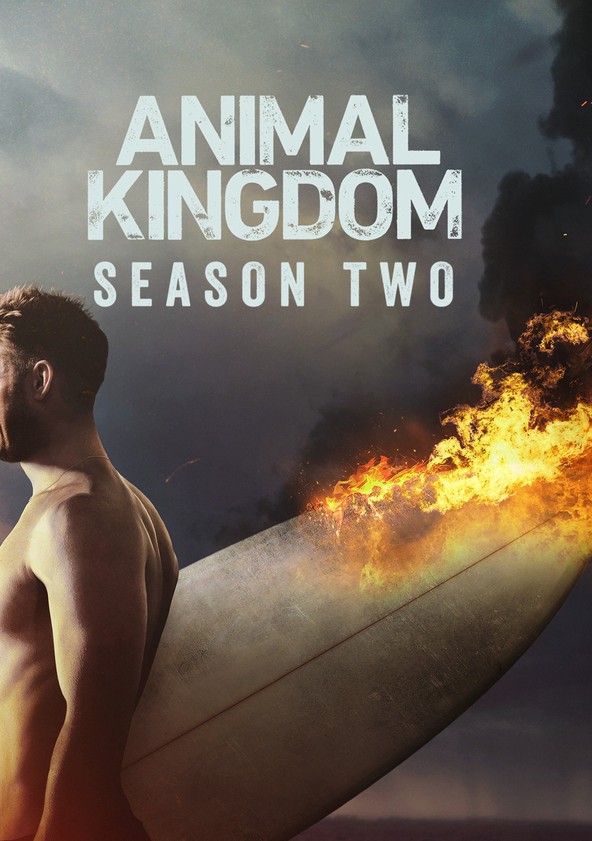 Animal Kingdom - Temporada 2