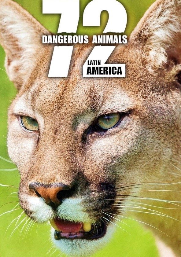 72 animales peligrosos: América Latina - Temporada 1