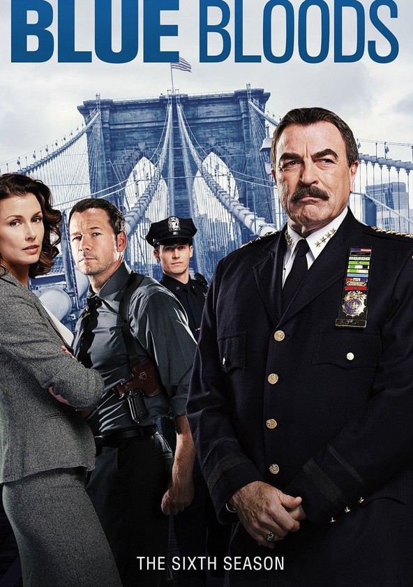 Blue Bloods - Temporada 6