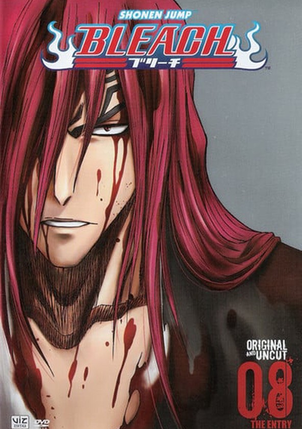Bleach - Temporada 8
