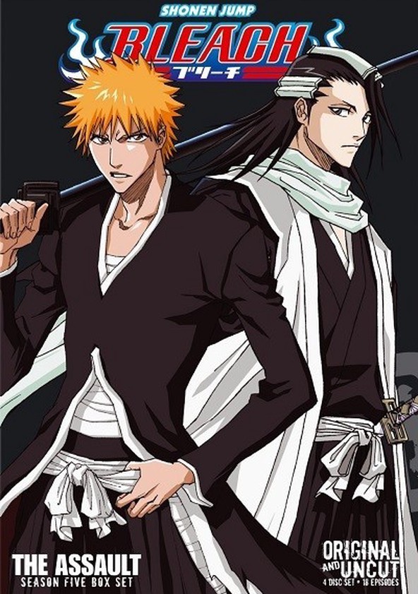 Bleach - Temporada 5