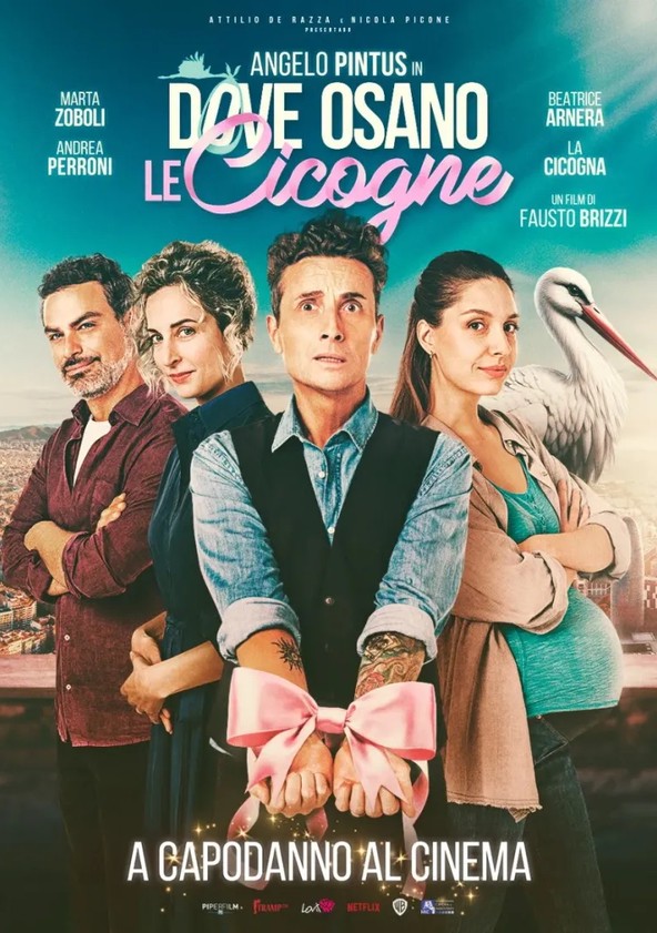 Dove osano le cicogne